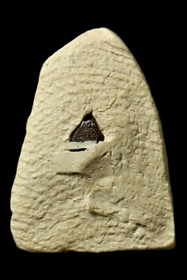 หลวงปู่ทวดพิมพ์จิ๋ว หลังฝังข้าวสารหิน