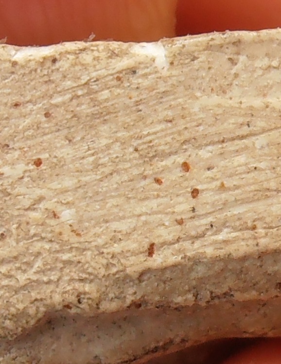 พระนางพญาหลวงปู่เทียน วัดโบสถ์ ปทุมธานี ยุคต้นก่อนปี ๒๕๐๐