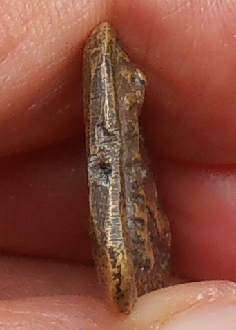 เหรียญหล่อพระพุทธชินราช หลวงพ่อเงิน วัดดอนยายหอม นครปฐม