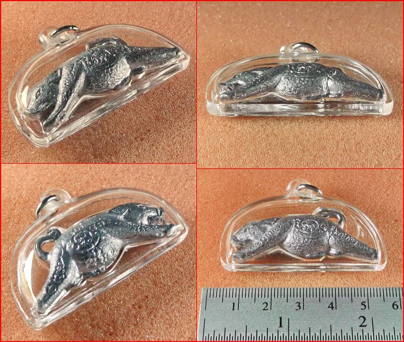 หมูพุทธคุณ (เตโชธาตุ) หลวงปู่ขุ้ย วัดซับตะเคียน จ.เพชรบูรณ์ เนื้อตะกั่ว ปี 2550 พร้อมเลี่ยม