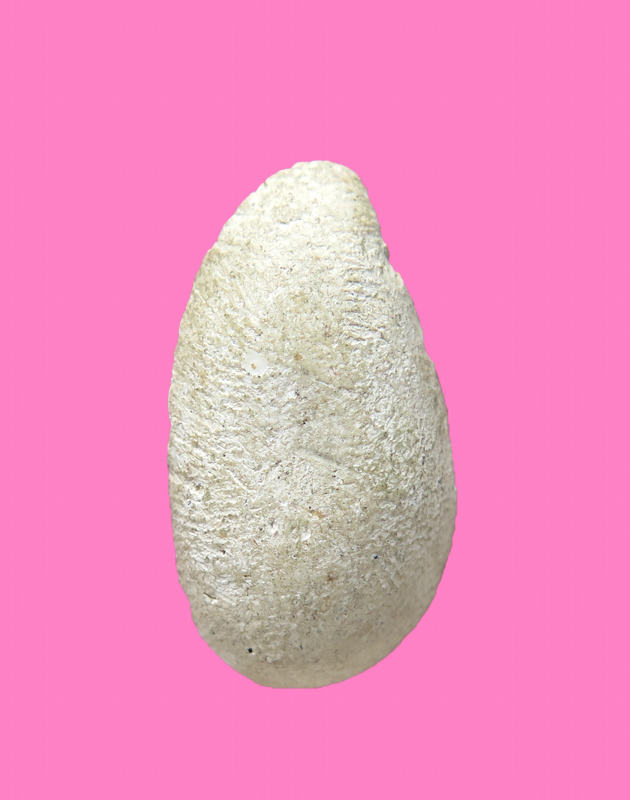 เศียรพ่อแก่เนื้อผง