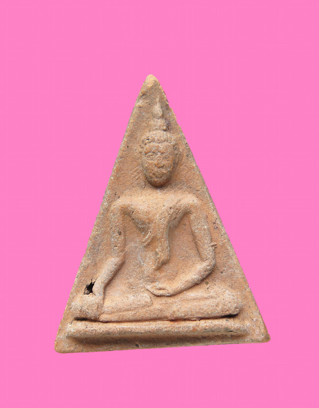 นางพญา เนื้อดิน หลังมีปาด