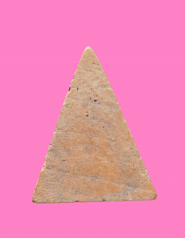 นางพญา เนื้อดิน หลังมีปาด