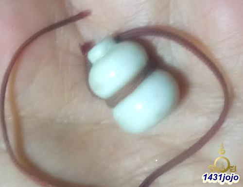 น้ำเต้าหลวงพ่อสดวัดปากน้ำ