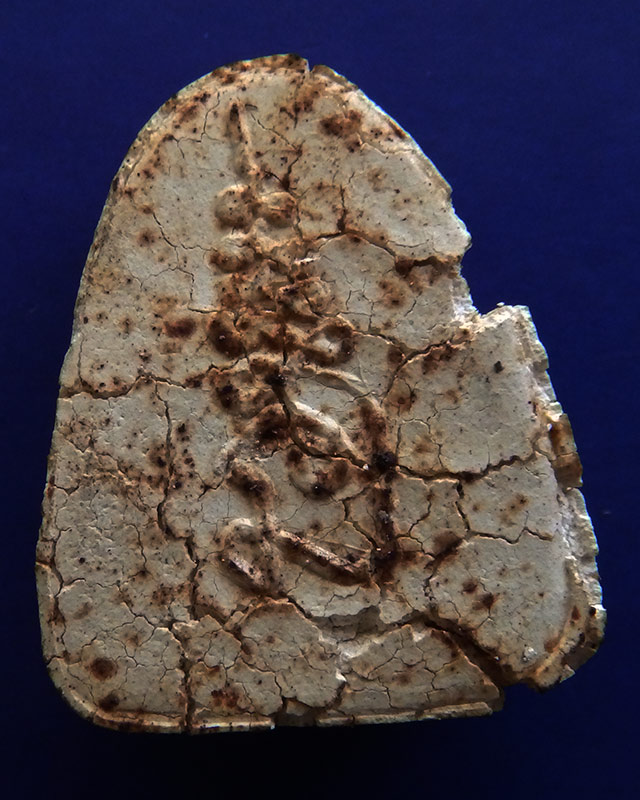 ปิดตา 2 องค์ เริ่ม 50 บาท