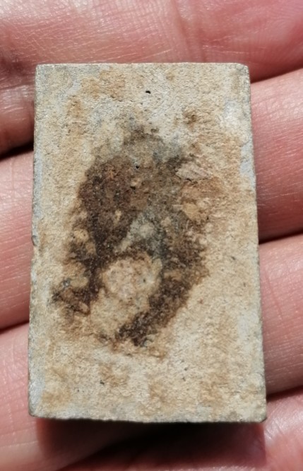 พระสมเด็จกำแพงแก้ว​ หลวงพ่อจง​ ออกวัดบ้านกล้วย​ จ.ลพบุรี​ ปี​ 2504​ เคาะเดียว    