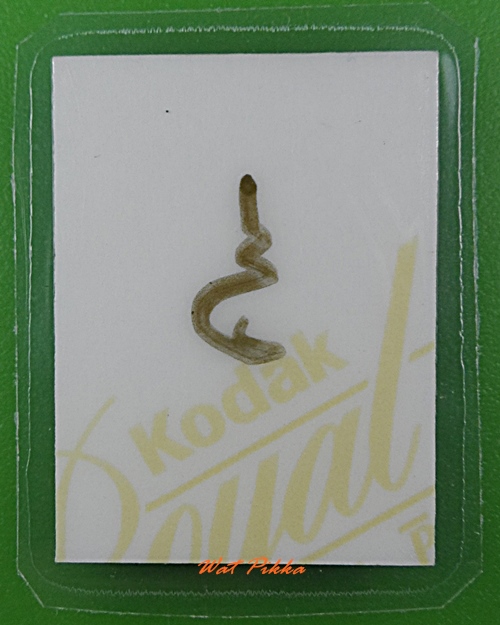 รูปหลวงพ่อวินท์ วัดสนามจันทร์ ฉะเชิงเทรา .E286.