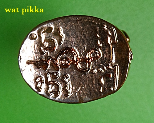 เสือหลวงพ่อปาน วัดไตรสรณาคม ฉะเชิงเทรา .E530.*