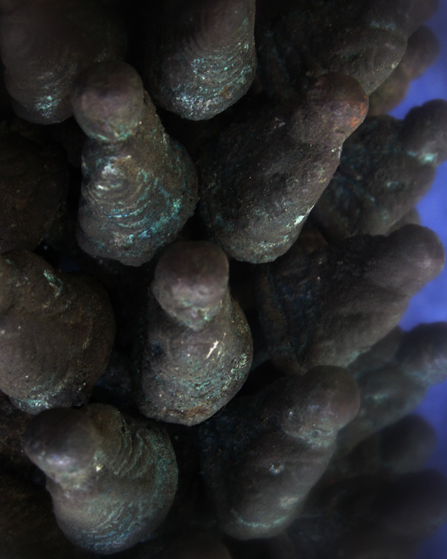 แท้ๆ จากวัด !! รูปหล่อหลวงพ่อเงิน รุ่นปืนแตก วัดคงคาราม (บางคลานใต้) ช่อกรรมการเต็มช่อ