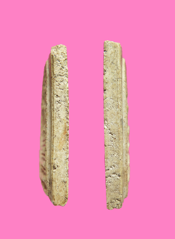 สมเด็จปรกโพธิ์ หลวงปู่นาค วัดระฆัง