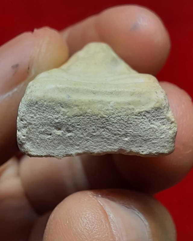 พระผงพิมพ์พระผงสุพรรณหลวงปู่ดู่ พรหมปัญโญ วัดสแก จ.อยุธยา ปี 2520 