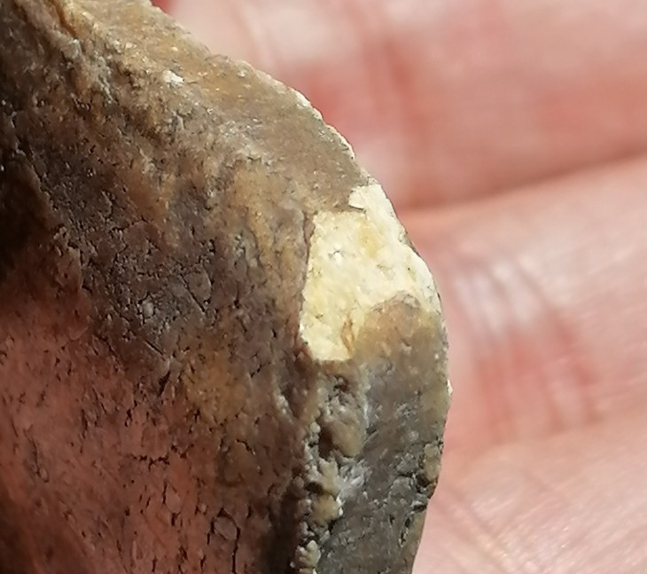 พระสิวลีจัมโบ้ เนื้อผงน้ำมัน(มีกระเทาะมุมล่างซ้าย)​ หลวงพ่อกวย​​ วัดโฆษิตาราม​ จ.ชัยนาท​ เคาะเดียว