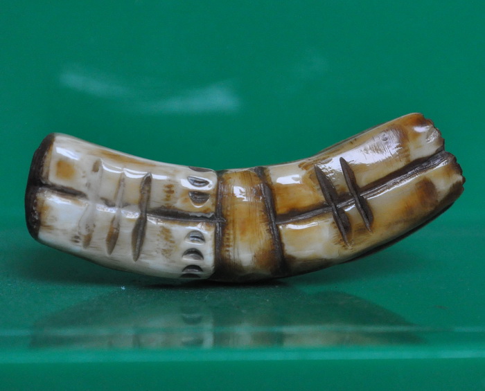 เสือหมอบเขากวางแกะ