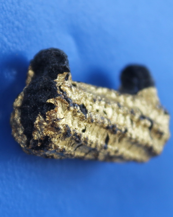 ตะกรุดพิศพร หลวงพ่อไสว วัดปรีดาราม