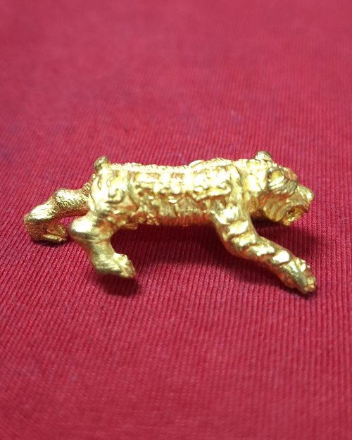 เสือยืนยันต์ล้อมทั้งตัว เนื้อกะไหล่ทอง (ไม่ทราบวัด)