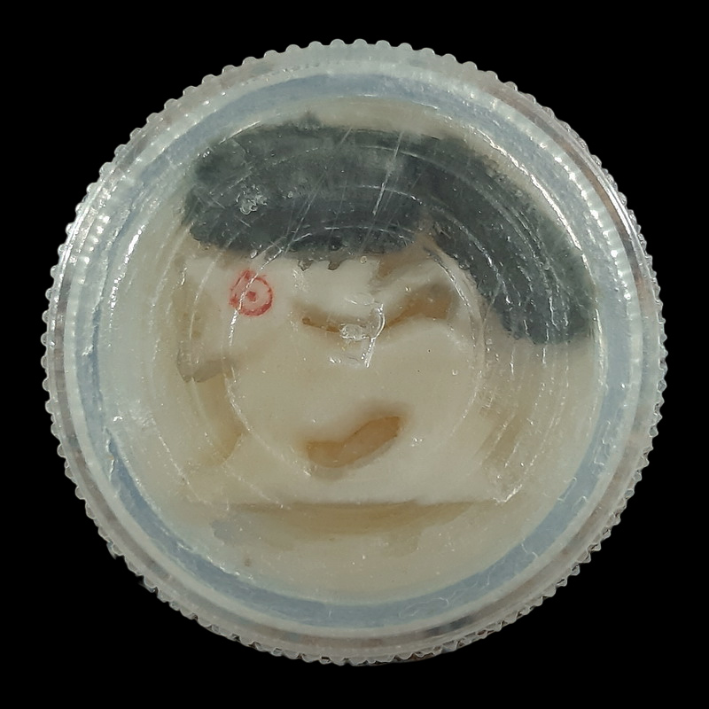 ตลับสีผึ้ง ในตลับมี สิงห์ 1 องค์ ,พระพิจิตรเม็ดข้าวเม่า 2 องค์ 