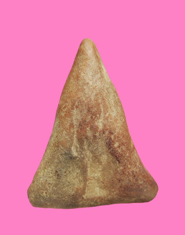 นางพญาเนื้อดิน องค์ใหญ่