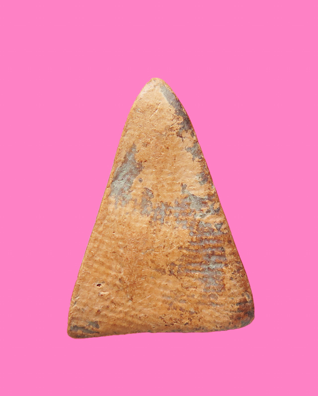 นางพญาเนื้อดิน สูง 1.3 ซม.