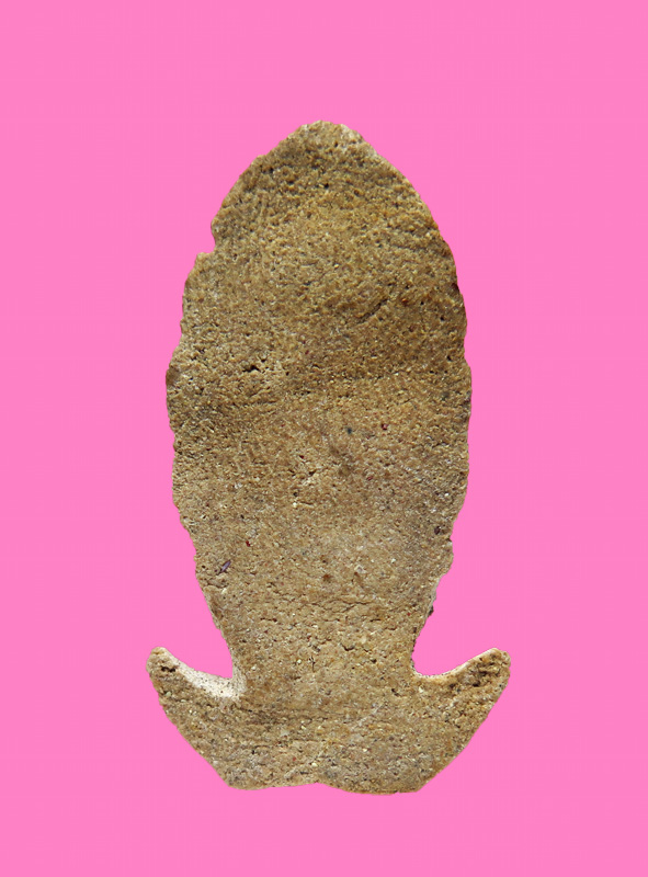 พระพัธนบดี เนื้อผงว่าน ไม่ทราบที่