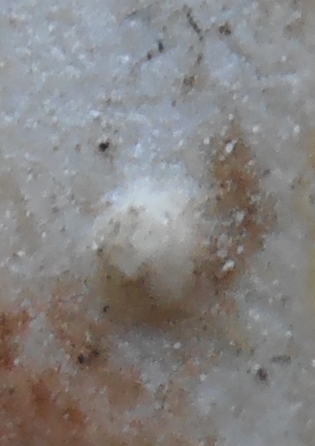 พระสมเด็จหลังอุไหล่จุด เจ้าคุณนร วัดเทพศิรินทร์ รุ่น 2 ปี 2513