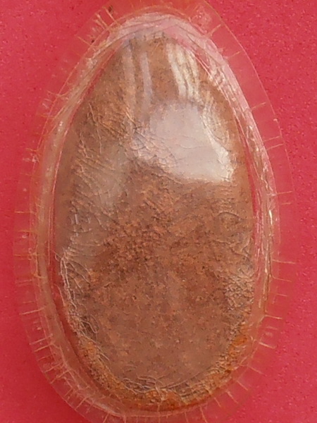 พระพิมพ์ขุนแผน พิมพ์เล็ก ไม่ทราบที่ 