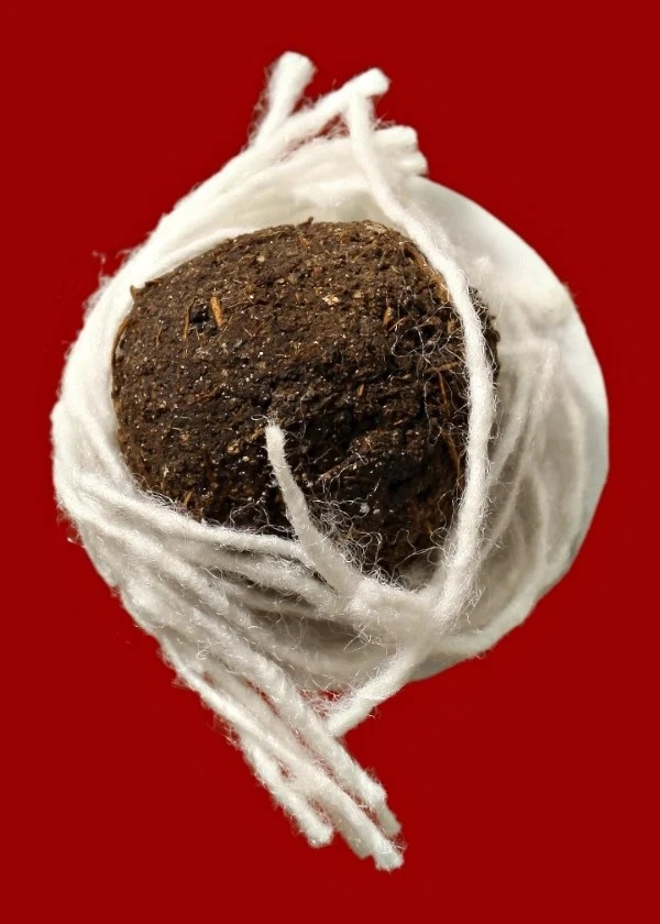 ลูกอมชานหมาก + รูป + ด้ายสายสิญจน์ พระเทพสิทธิวิมล ประจวบคีรีขันธ์