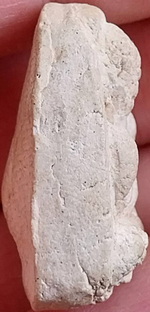 *ปิดตานักกล้าม พิมพ์หลวงปู่แก้ว วัดเคลือวัลย์ เนื้อขาว วัดประสาทบุญญาวาส กทม. ปี๒๕๐๖*