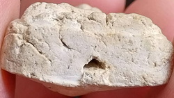 *ปิดตานักกล้าม พิมพ์หลวงปู่แก้ว วัดเคลือวัลย์ เนื้อขาว วัดประสาทบุญญาวาส กทม. ปี๒๕๐๖*