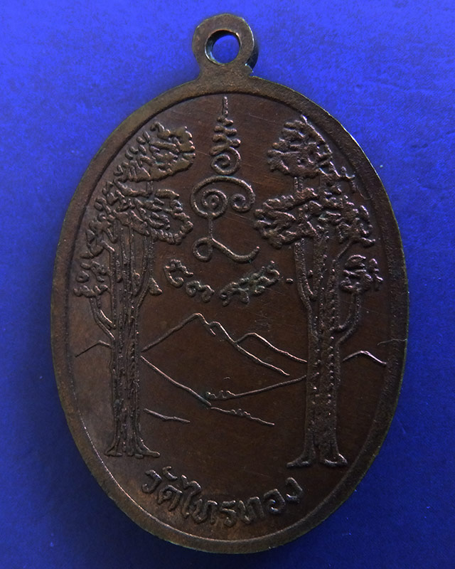เหรียญรุ่นแรก หลวงปู่หลิว ออกวัดไทรทอง ปี 2505