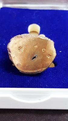 รูปหล่อหลวงปู่หมุนรุ่น พึงใบบุญ60 เนื้อทองชนวน สวยพร้อมกล่องตอกโค้ชและตัวเลขน่าเก็บน่าใช้ครับ 