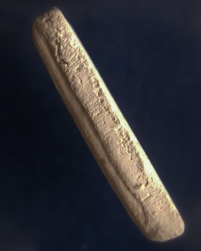 สมเด็จบางขุนพรหม 09 พิมพ์สังฆาฏิ หลังตรายาง พร้อมใบประกาศที่ 2