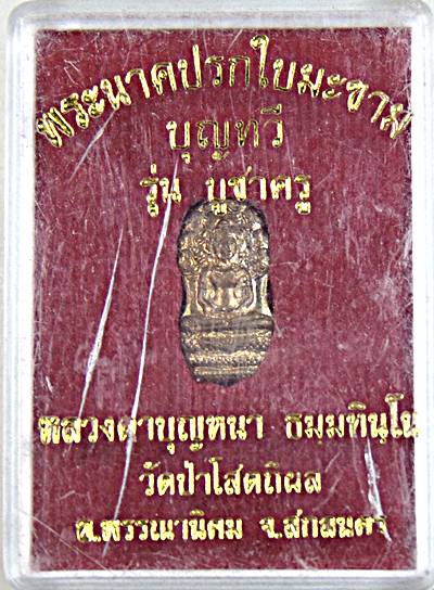 ๒๐ พระนาคปรกใบมะขามหลวงปู่บุญหนา วัดป่าโสตถิผล