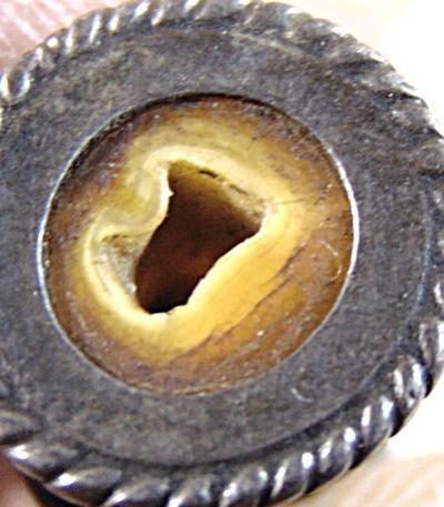 เสือแกะจากเขี้ยว เลี่ยมซุ้มเงิน