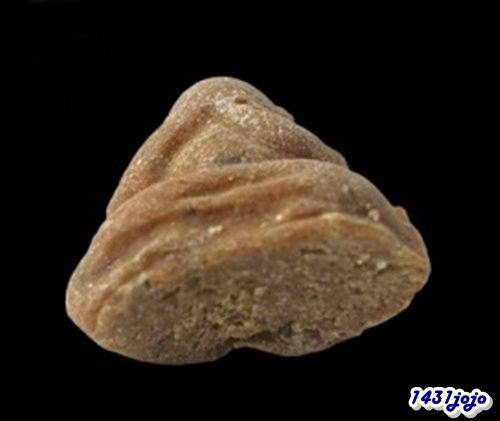 พระปิดตา2หน้า หลวงพ่อทองสุข วัดสะพานสูง เนื้องผงน้ำมัน รุ่นแจกแม่ครัว ปี2515-2525 พร้อมบัตรรับรอง