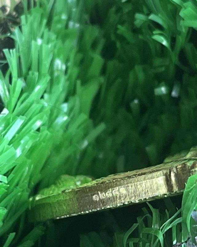 หลวงพ่อพัฒน์ วัดห้วยด้วน นครสวรรค์ รุ่นพยัคฆ์แสนล้าน เนื้อทองทิพย์ ลงยาจีวร หมายเลข 12881 พร้อมกล่อง