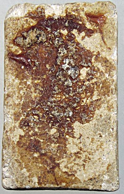 พระผงวัดเกาะกลอย จ.ระยอง ปี 2514 หลวงปู่ทิม วัดละหารไร่ ร่วมปลุกเสก