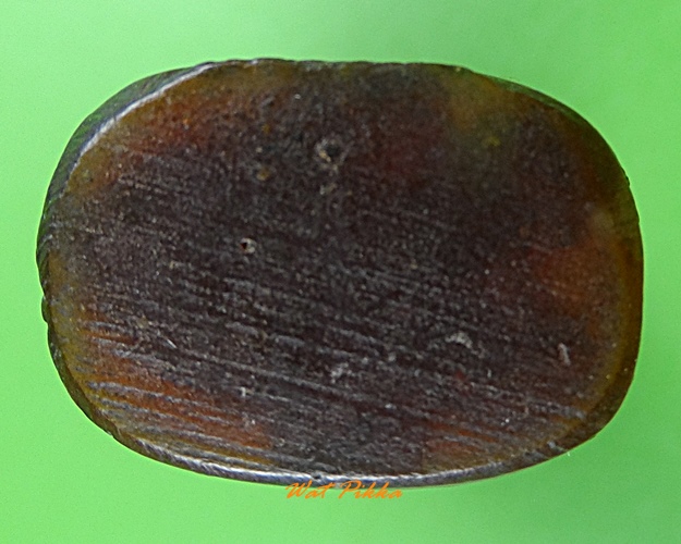 หมูทองแดงร.๗หลวงพ่อสมคิด วัดบึงตาต้า ระยอง .1014.*