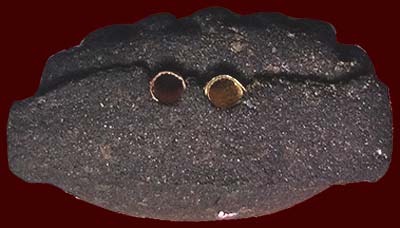 *ลป.ทวด เนื้อว่าน วัดท่าไทร สุราษฏร์ธานี ปี๒๕๓๗ พิมพ์เล็กหน้า๒๔ นิยม ฝังตะกรุดนารายณ์แปลงรูป*