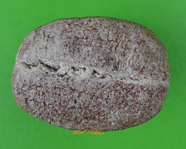 เสือเนื้อดินหลวงพ่อสมชาย วัดปริวาสราชสงคราม กทม .1955.*