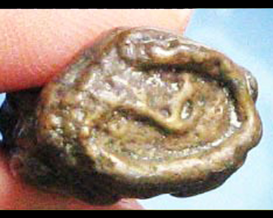 เทวรูปเขมร ประเทศกำพูชา