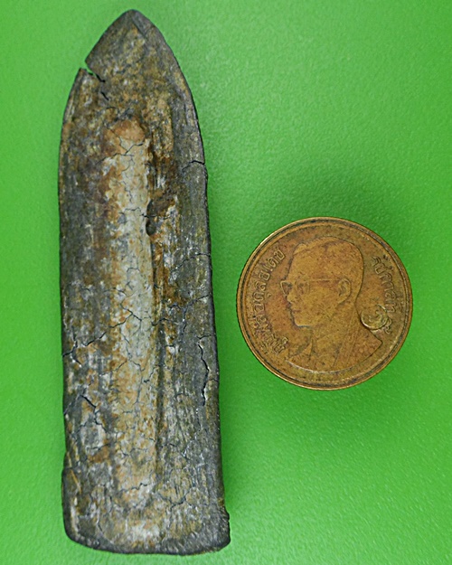 พระร่วง รางปืน .3873.*