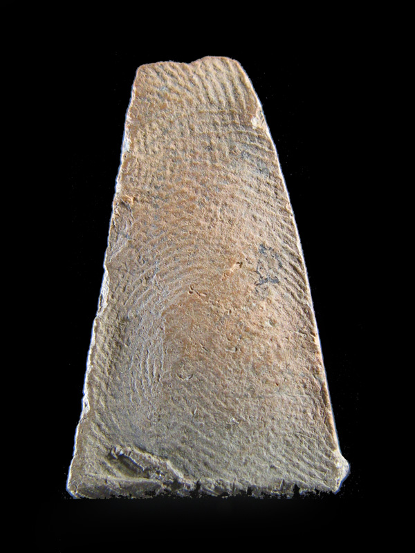 $ พระผงสุพรรณ พิมพ์เล็ก หลวงพ่อกวย วัดโฆสิตาราม จ.ชัยนาท 