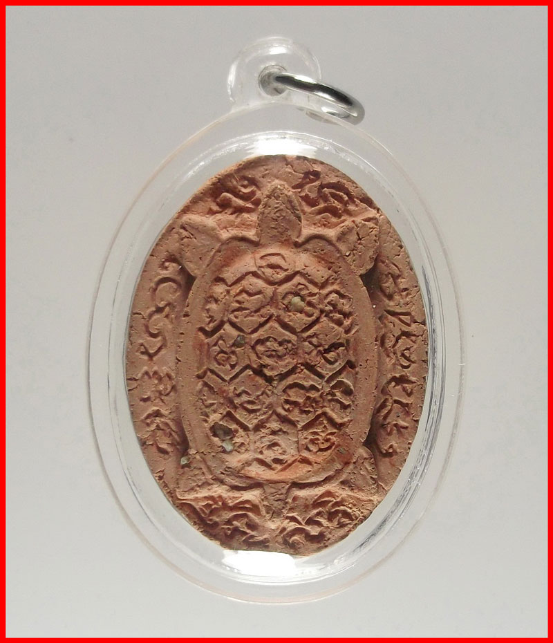 พญาเต่าเรือนหลวงปู่จอม นาคเสโน วัดบ้านดอนดู่ อ.เมือง อำนาจเจริญ เนื้อผงว่านฝังพระธาตุ ปี 2549