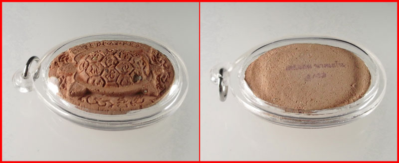 พญาเต่าเรือนหลวงปู่จอม นาคเสโน วัดบ้านดอนดู่ อ.เมือง อำนาจเจริญ เนื้อผงว่านฝังพระธาตุ ปี 2549