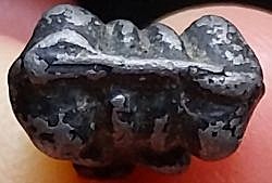 *พระปิดตาเข่าตุ่มสองหน้า พิมพ์จิ๋ว ชินตะกั่วจุ่มรักดำ หลวงพ่อเดิม วัดหนองโพ นครสวรรค์*