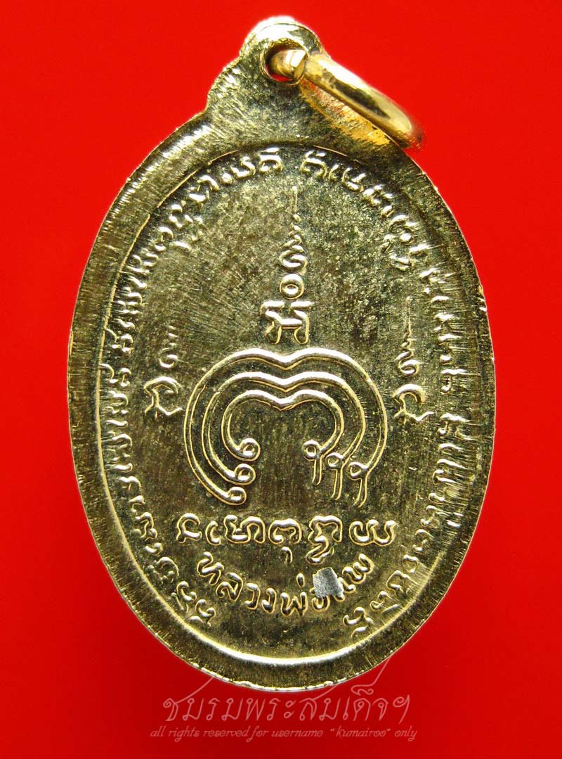 เหรียญหันข้าง กะหลั่ยทอง หลวงพ่อแพ วัดพิกุลทอง (3)