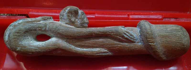 *ลิงอุ้มปลัด*