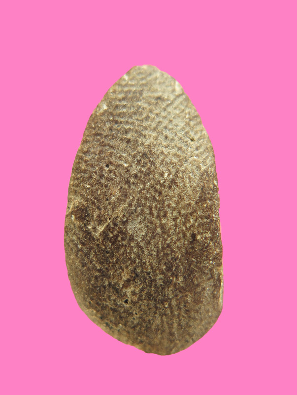 พระปิดตาพิมพ์เม็ดแตง เก่า