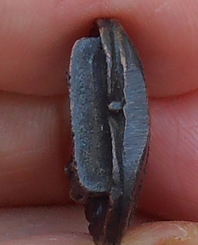 เหรียญหล่อใบโพธิ์หลวงปู่สด วัดโพธ์แตงใต้ อยุธยา ปี ๒๕๓๖