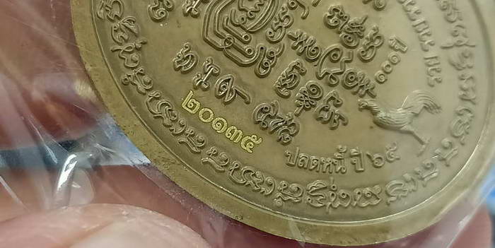 เหรียญรูปไข่ รุ่นปลดหนี้ 2565 หลวงพ่อพัฒน์ วัดห้วยด้วน จ.นครสวรรค์ เนื้อชนวน กล่องแทน ***ส่งฟรี